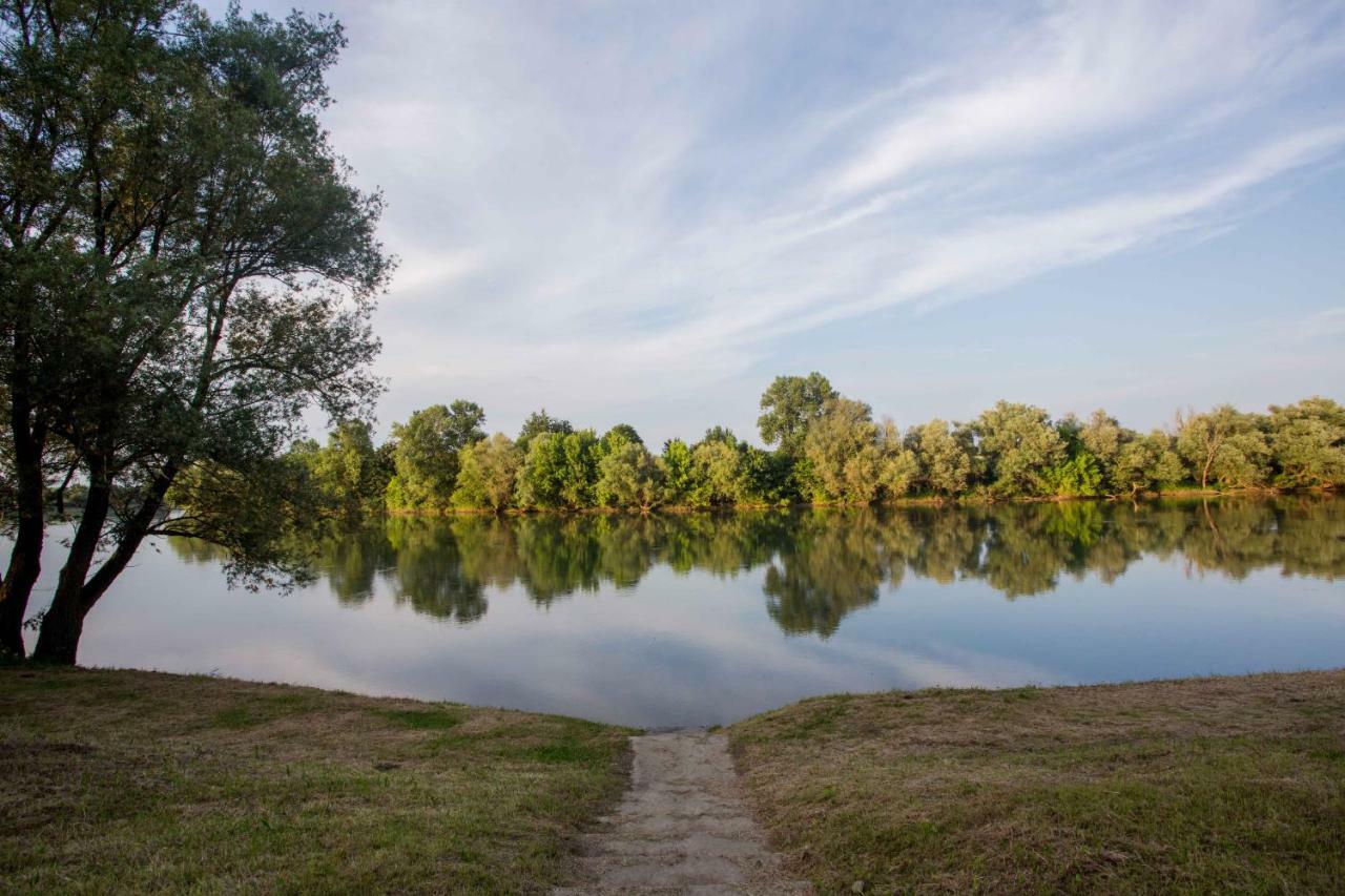 Zagreb, Kuca Za Odmor Swan River Holiday House Lasinja Bagian luar foto