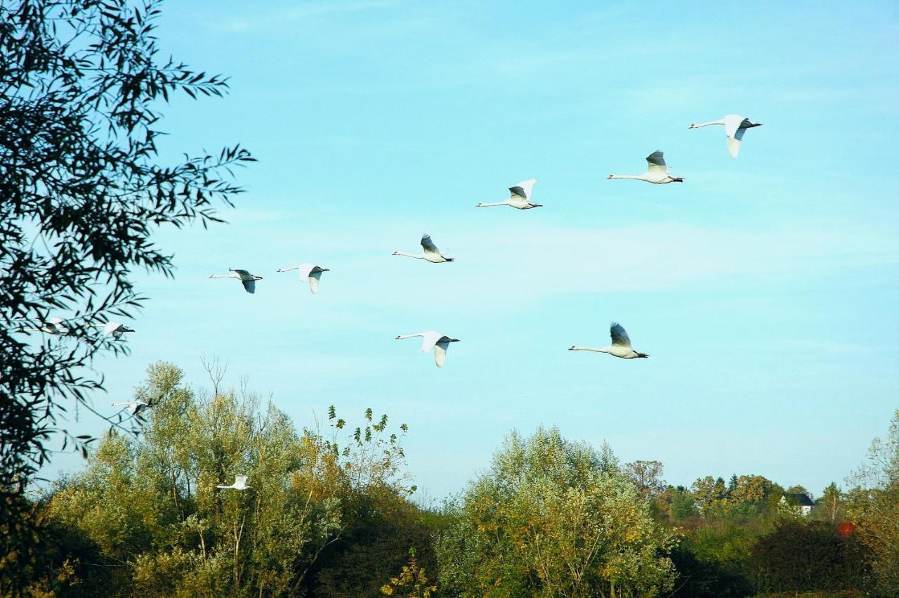 Zagreb, Kuca Za Odmor Swan River Holiday House Lasinja Bagian luar foto