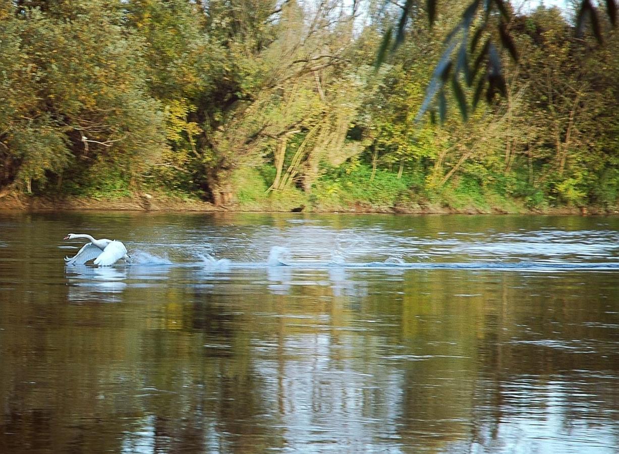 Zagreb, Kuca Za Odmor Swan River Holiday House Lasinja Bagian luar foto