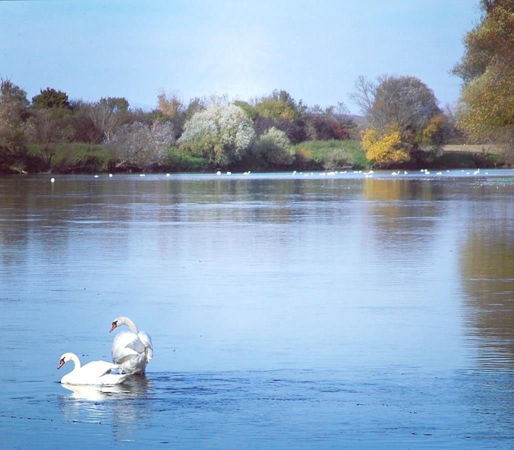 Zagreb, Kuca Za Odmor Swan River Holiday House Lasinja Bagian luar foto